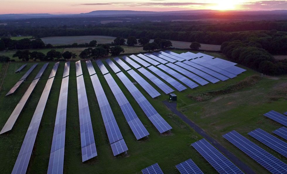 A field full of solar panels