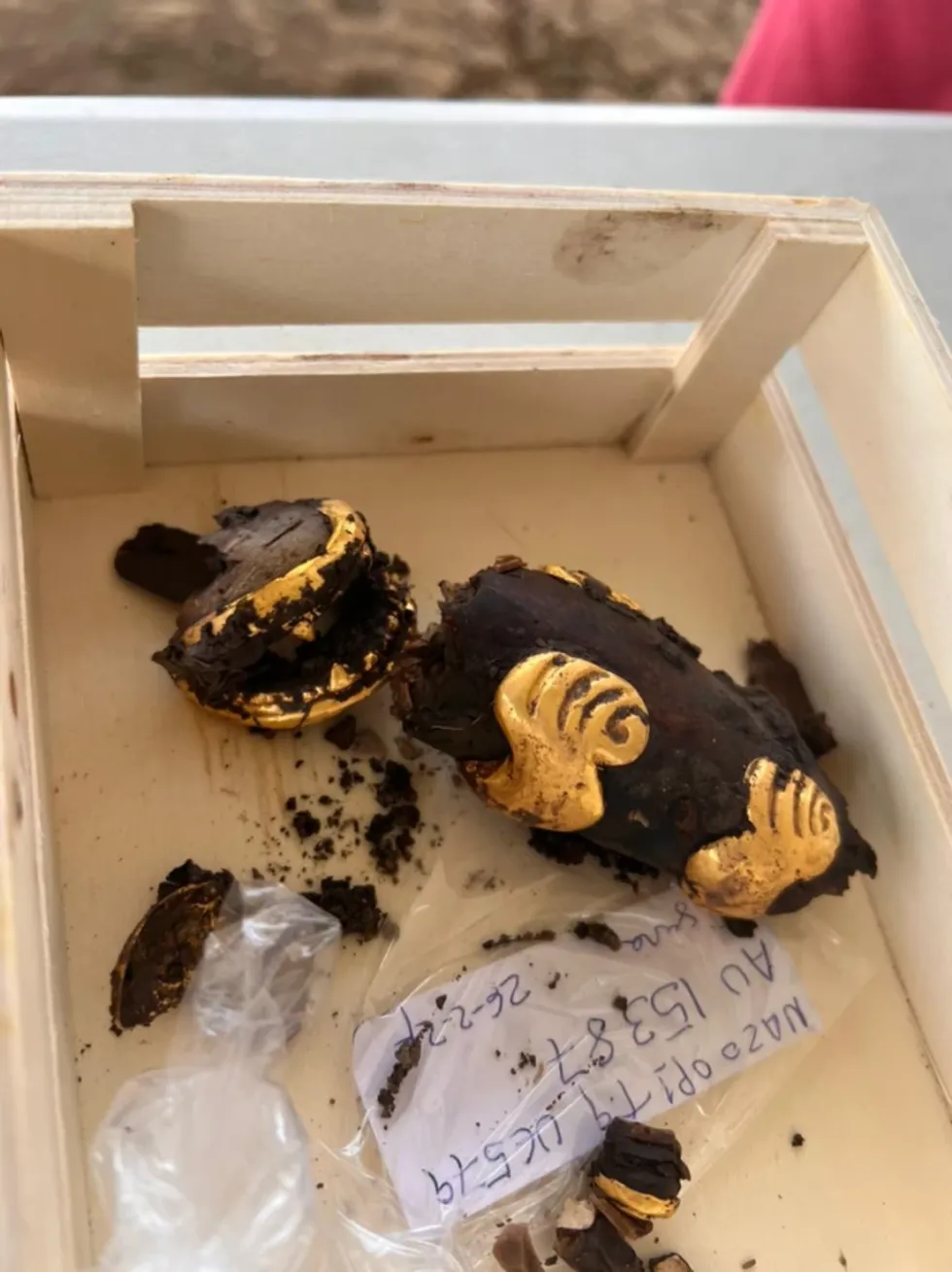 A gold artefact with an animal-type body was also detected