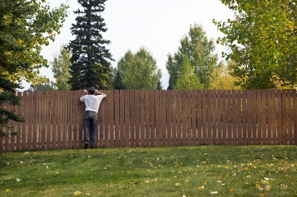 A person looking over the fence