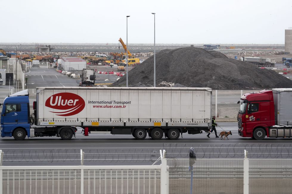 A sniffer dog searches lorries at the Port of Calais ahead of boarding