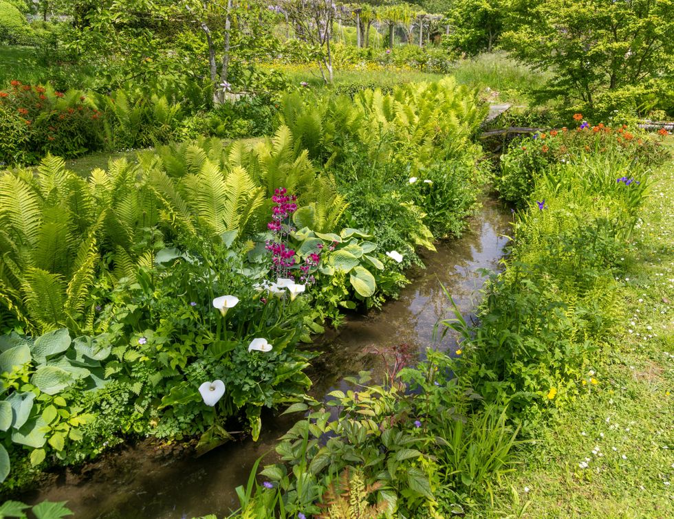 A stock image of a stream