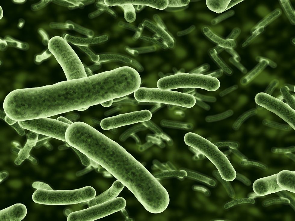 Mirror bacteria - Figure 1