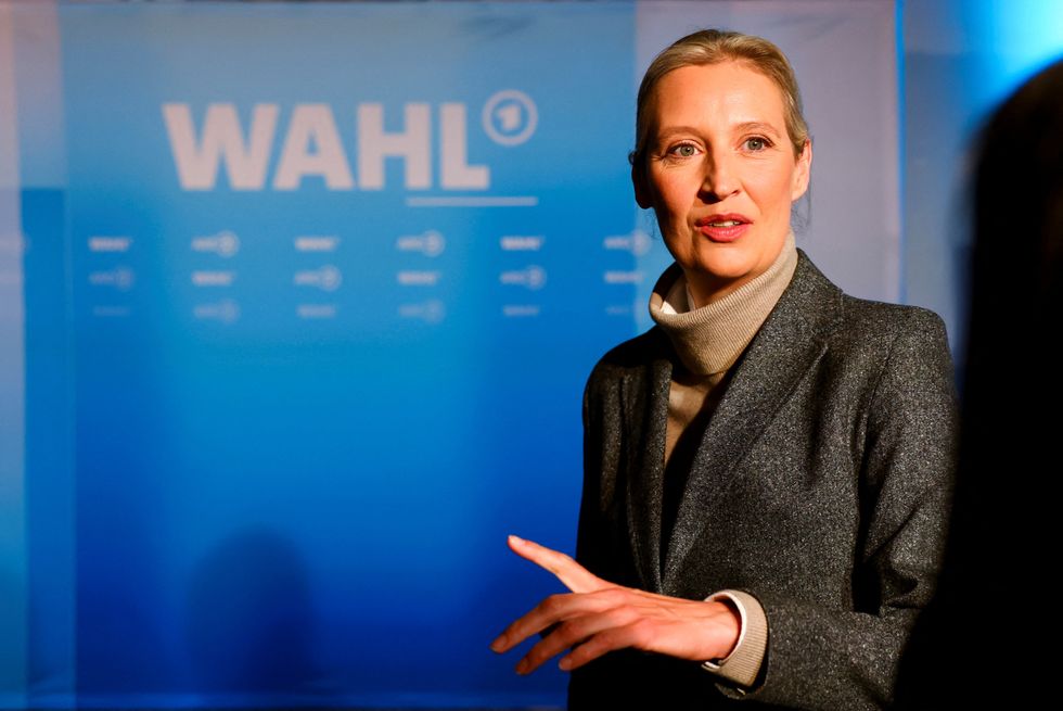 AfD co-leader Alice Weidel