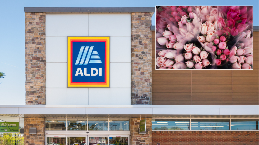 Aldi and flowers