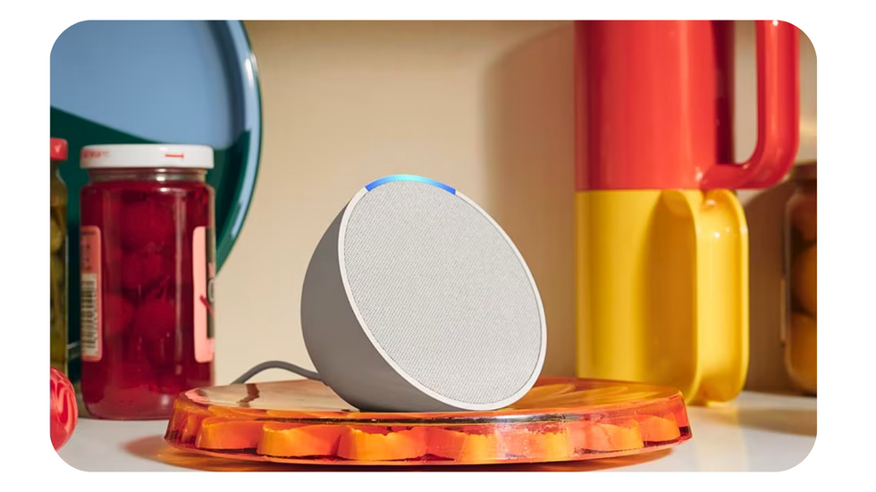 amazon echo pop pictured on a kitchen shelf alongside mugs and jars