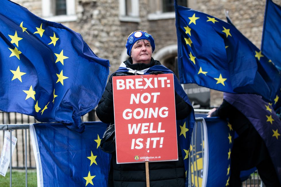 An anti-Brexit campaigner in Westminster