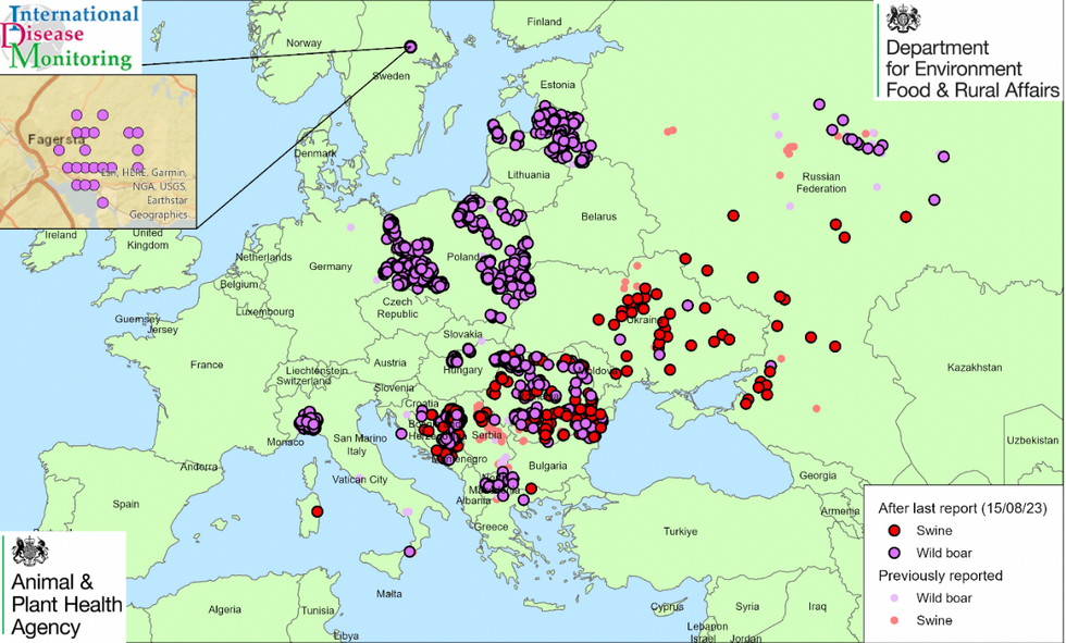 ASF outbreaks across Europe mapped