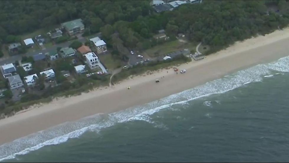 Australia shark attack