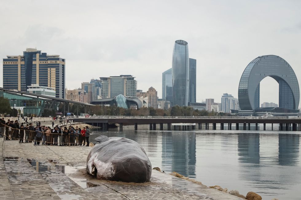 Azerbaijan is hoping Cop29