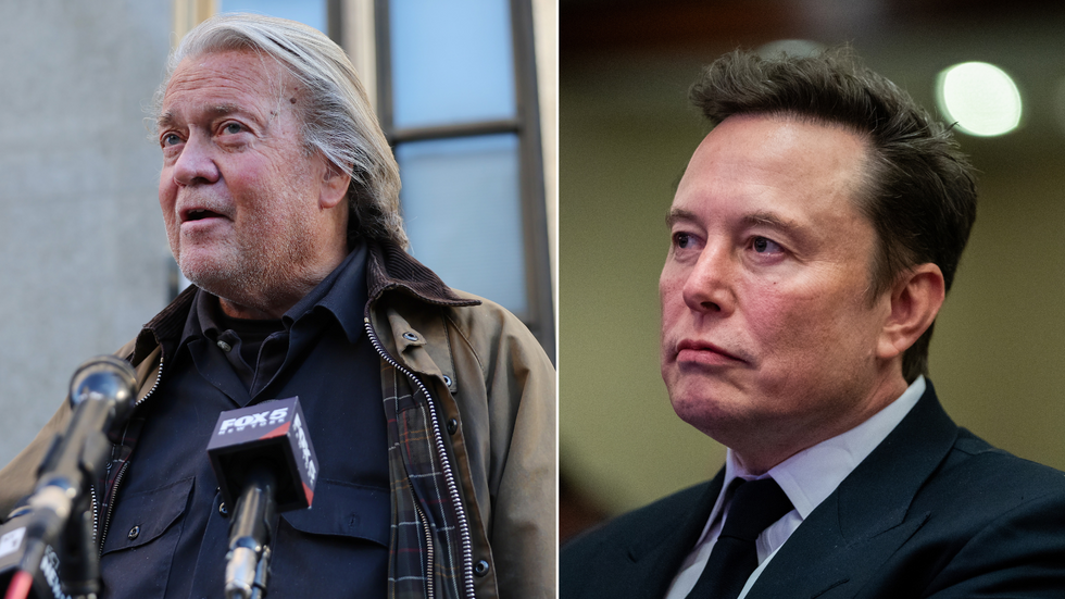 Bannon and Musk