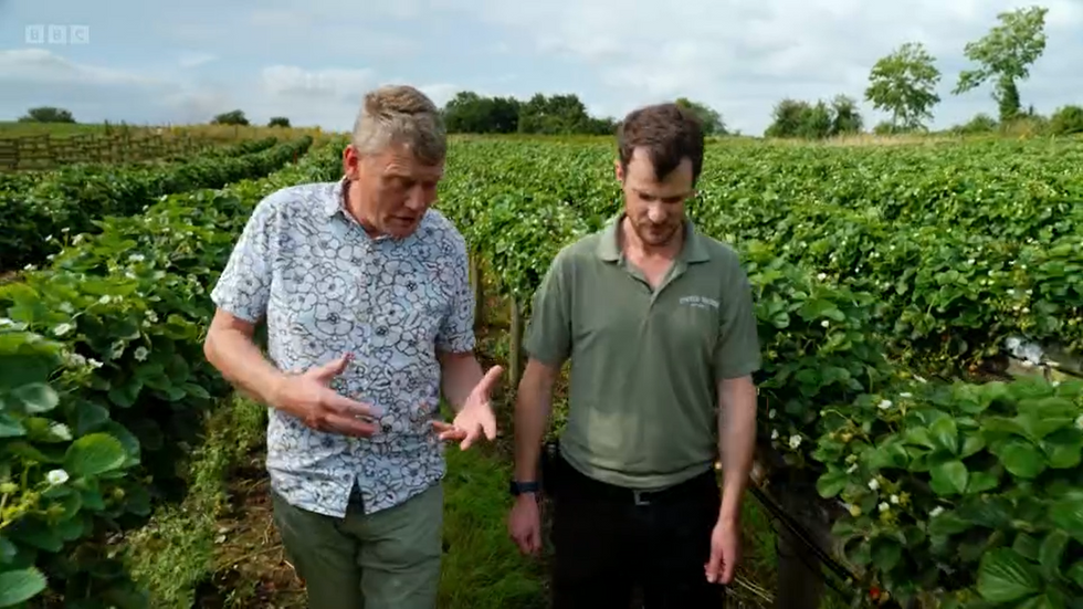 BBC Countryfile: Tom Heap