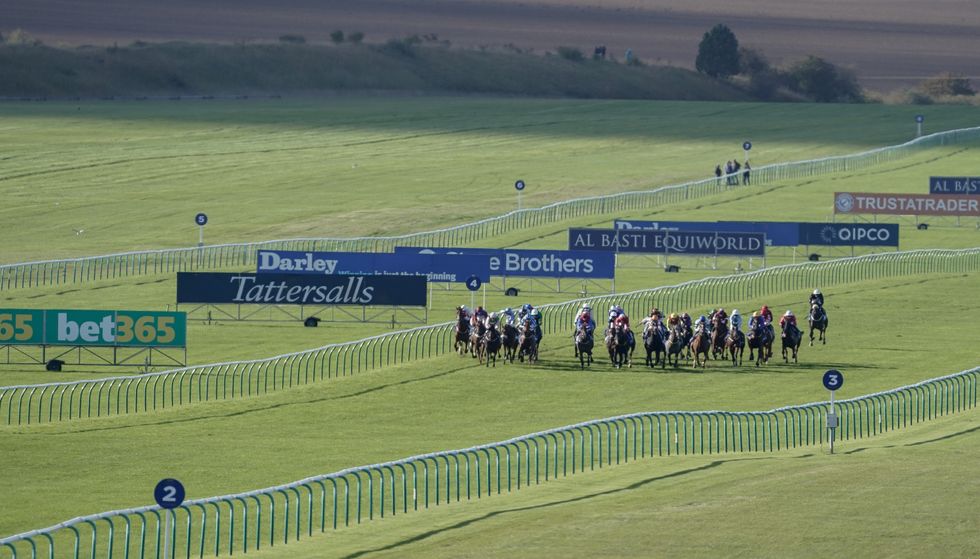 BBC furious with reporter over horse racing coverage as details of