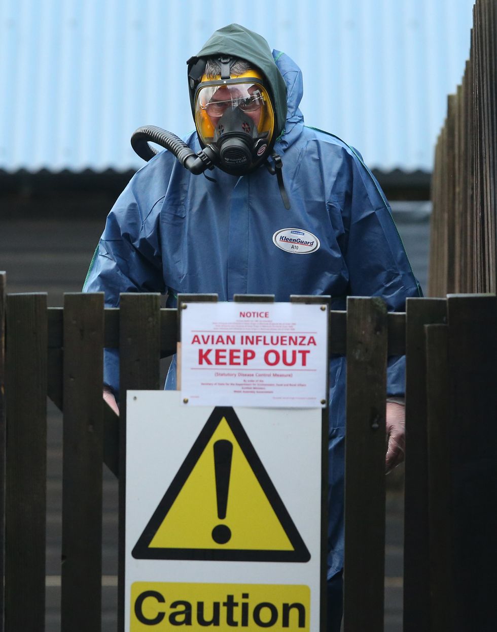 Bird flu hazmat suit