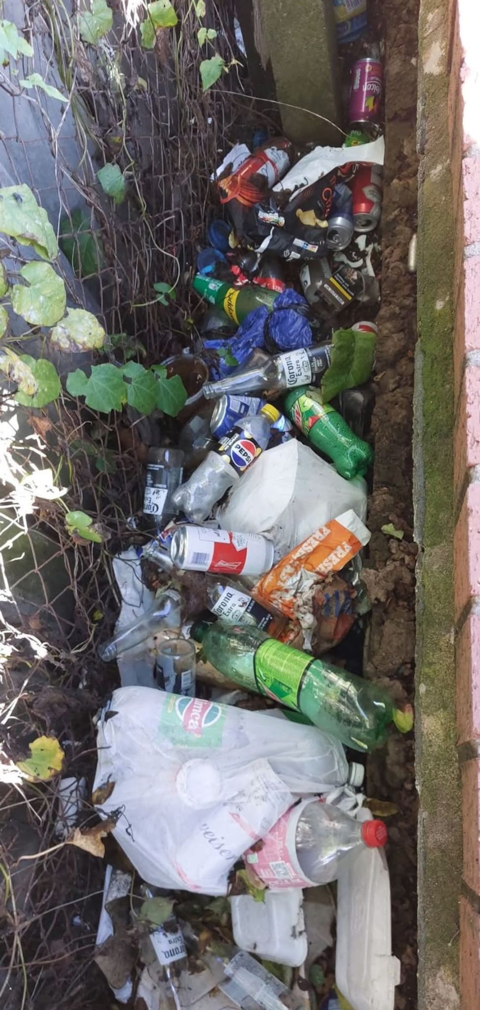 Bottles on road