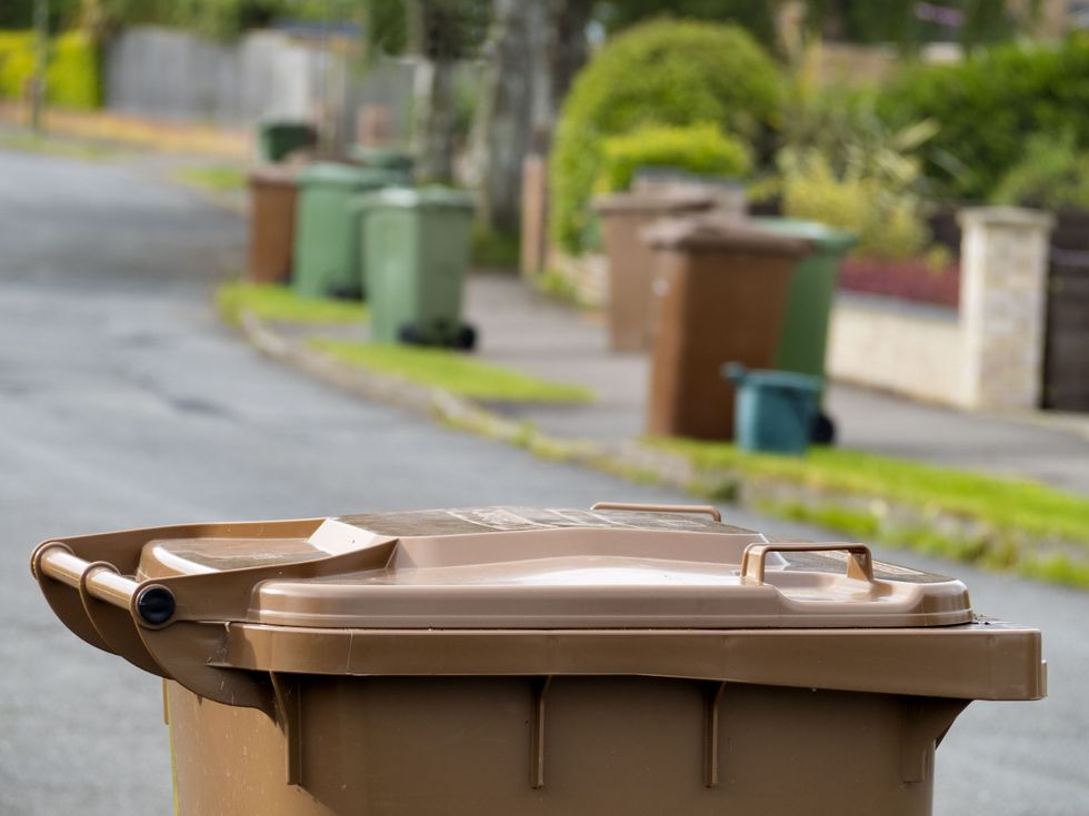 Brown bin