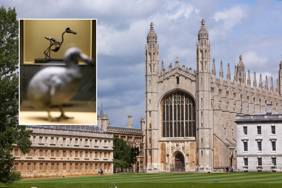 Cambridge University alongside inset of a dodo