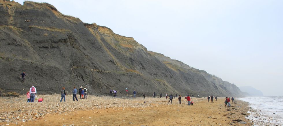 Charmouth Beach