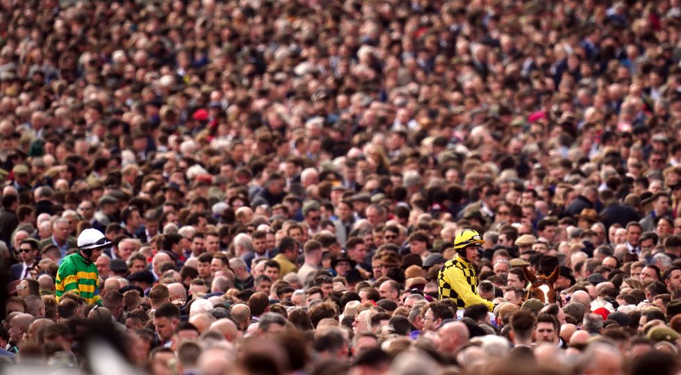 Cheltenham Festival