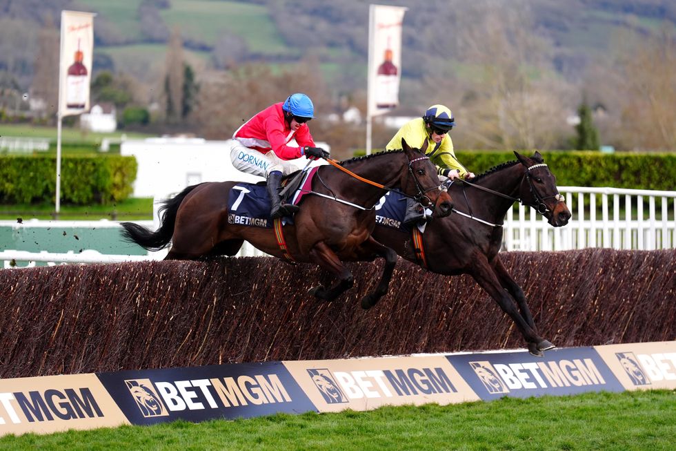 Cheltenham Festival