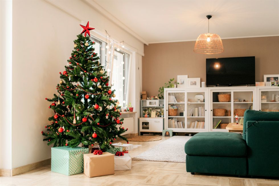 Monty Don shares how to make your tree last long past Christmas 'it