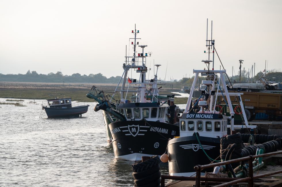 Cockle fishing boats