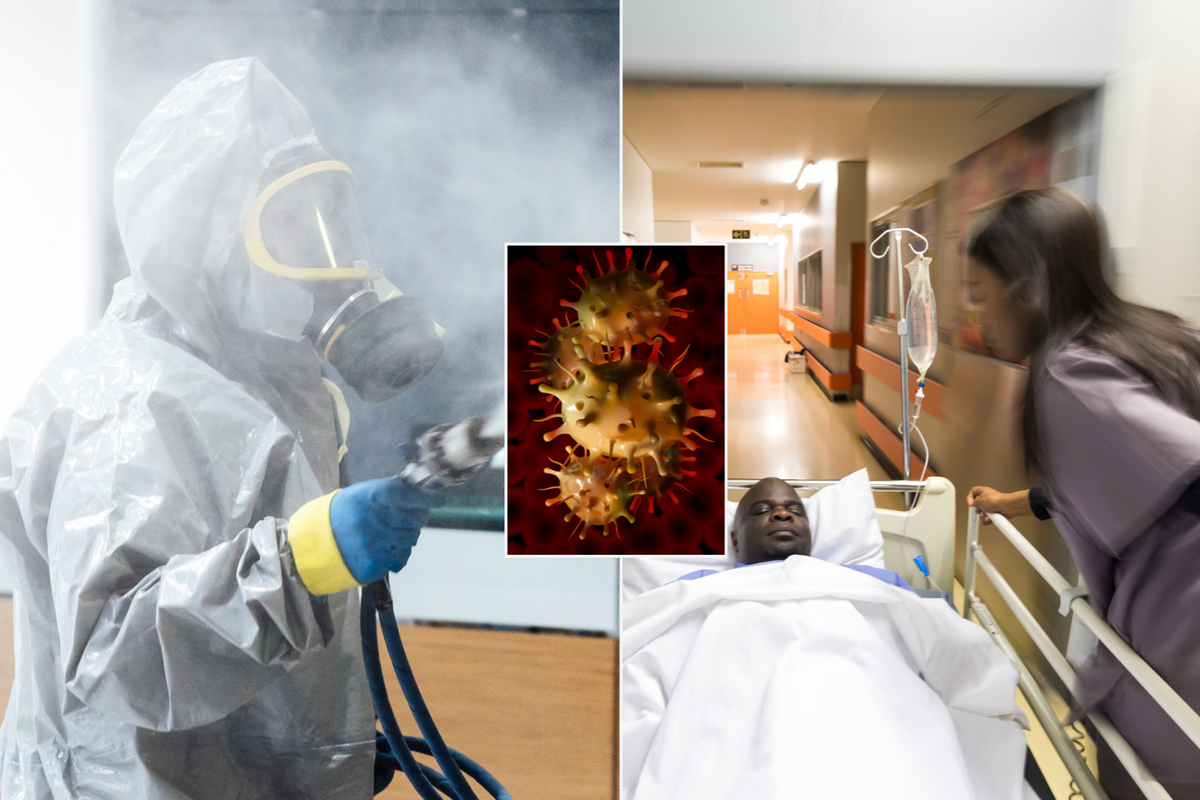 Composite image of a man in a hazmat suit, bird flu and rushing hospital ward 
