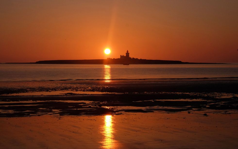 Coquet Island