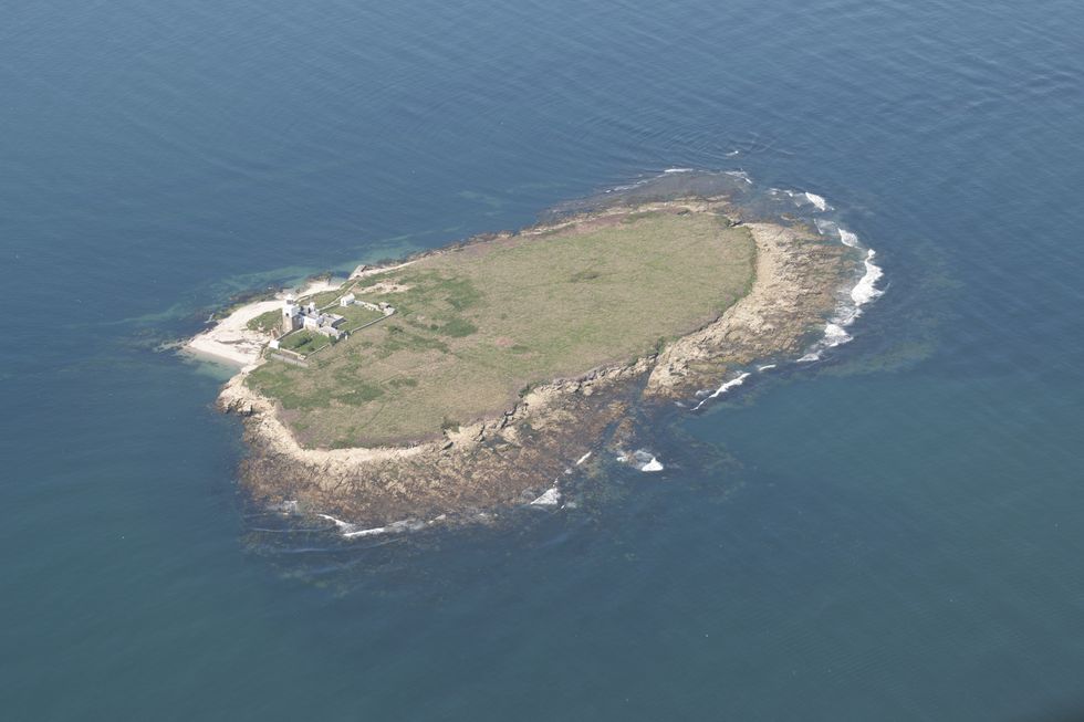 Coquet Island