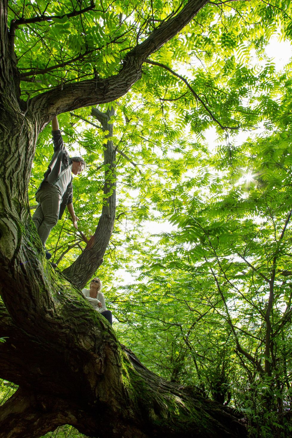 Couple climbing tree