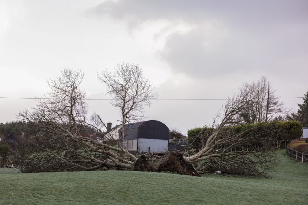 Damage from Storm Eowyn