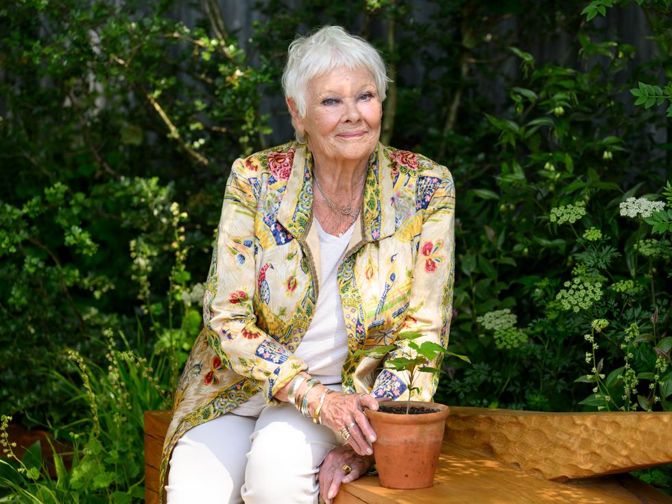 Dame Judi Dench