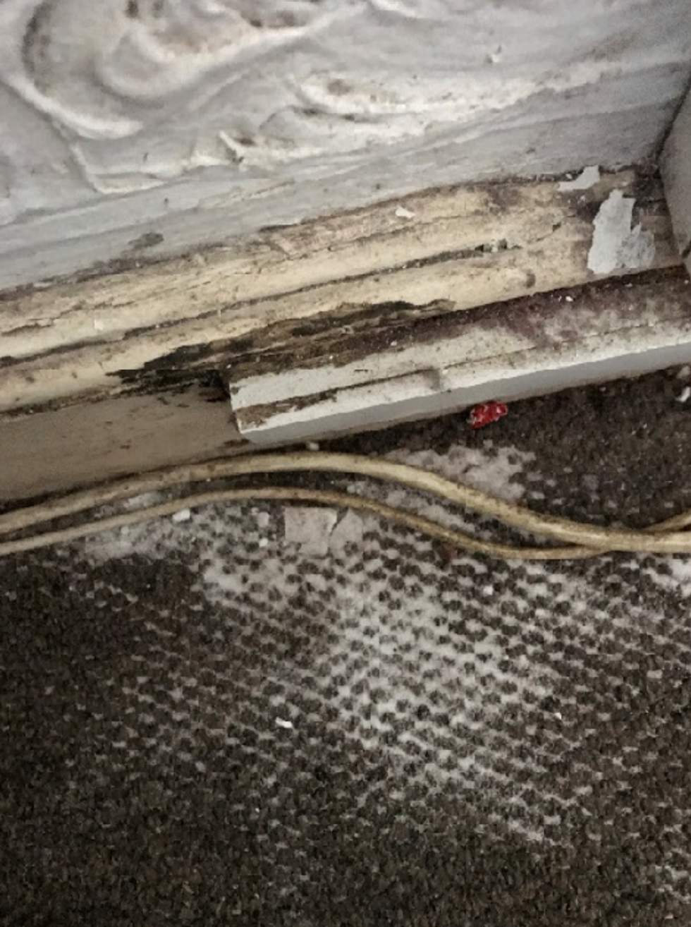 Damp and rotten skirting boards