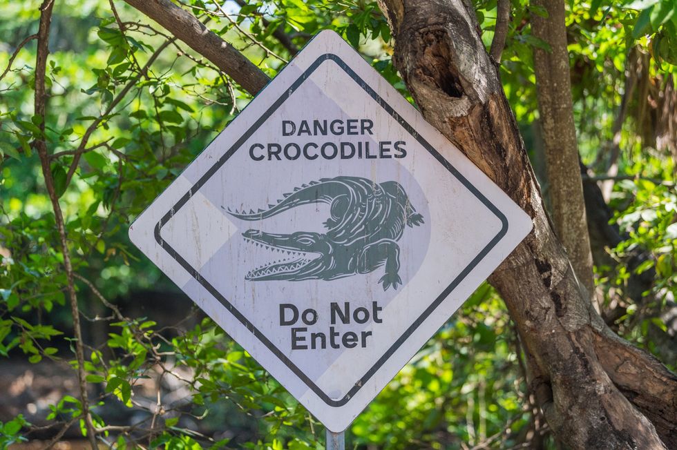 Danger crocodiles sign