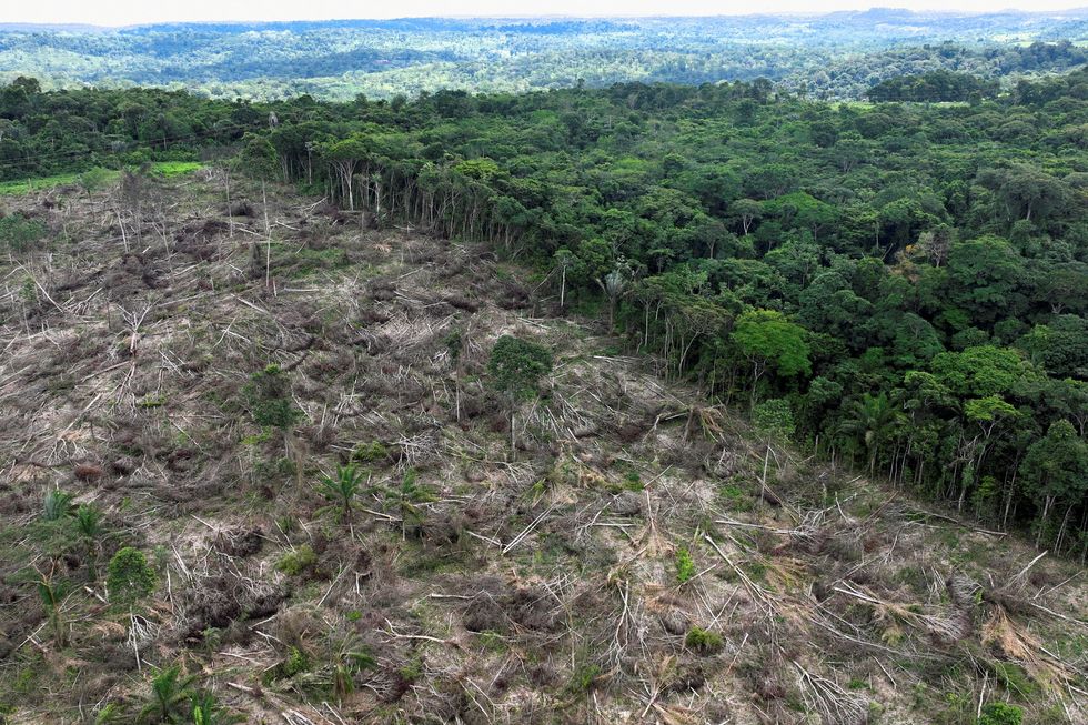 Deforestation in Amazon