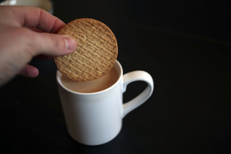 Digestive biscuit about to be dunked in a mug of tea