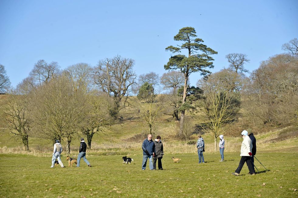 Dog owners and walkers enjoy the open spaces of Ashton Court Estate, Bristo