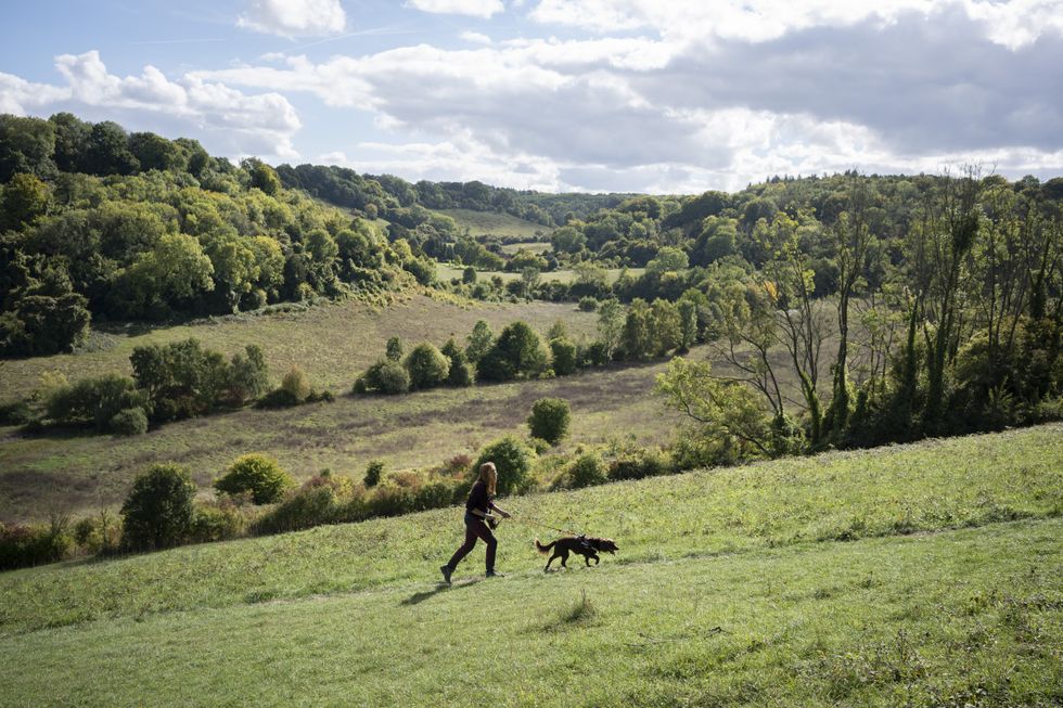 Dog walker