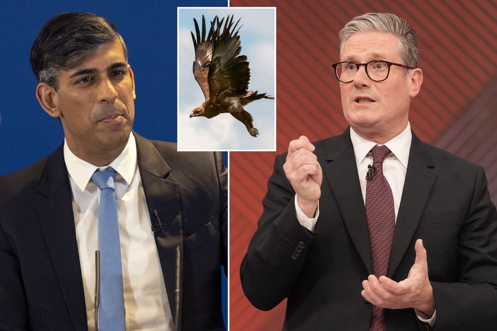 Eagle/Rishi Sunak/Keir Starmer