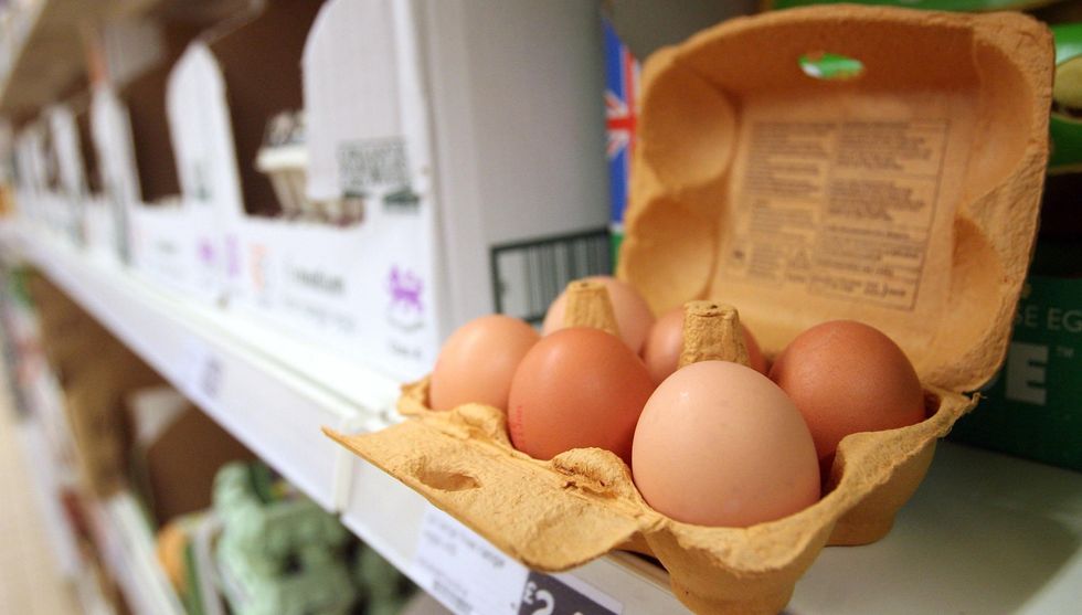 Eggs in supermarket