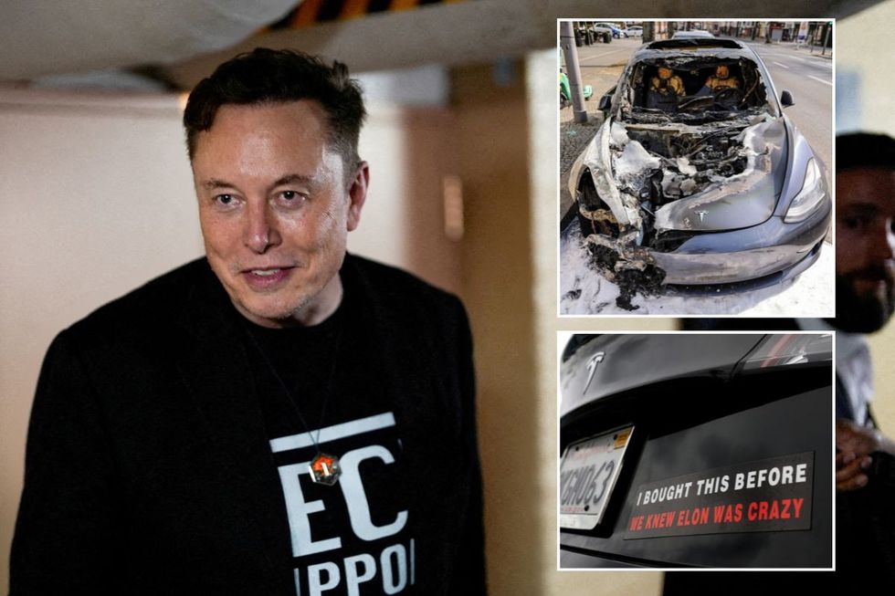 Elon Musk, a burnt Tesla electric vehicle and a 'I bought this before we knew Elon was crazy' sticker