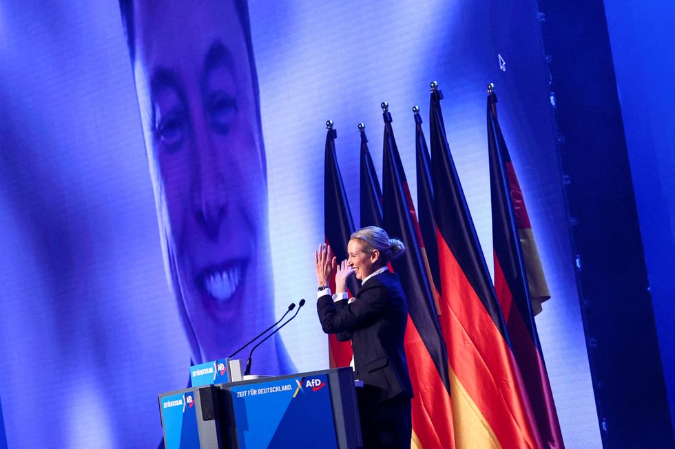 Elon Musk at a virtual conference alongside AfD leader Alice Weidel