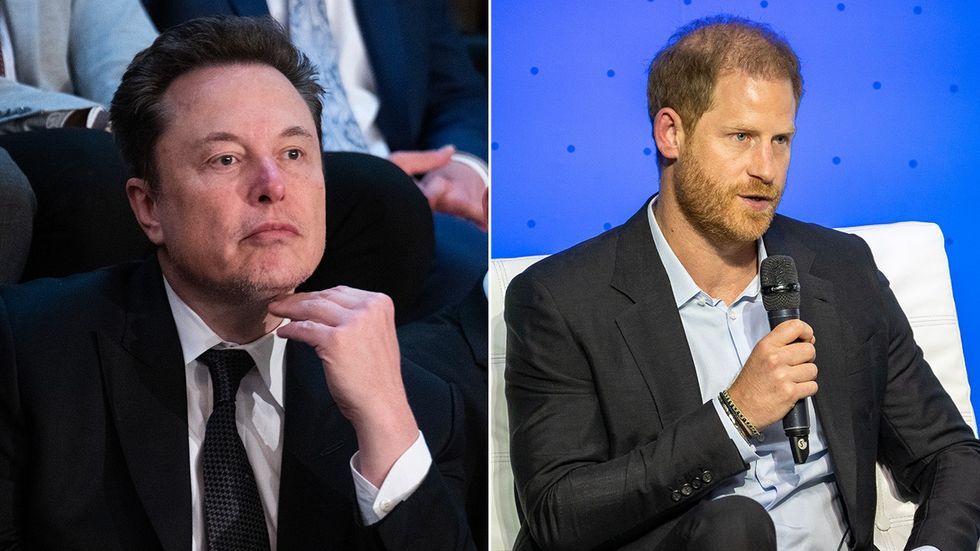 Elon Musk, Prince Harry