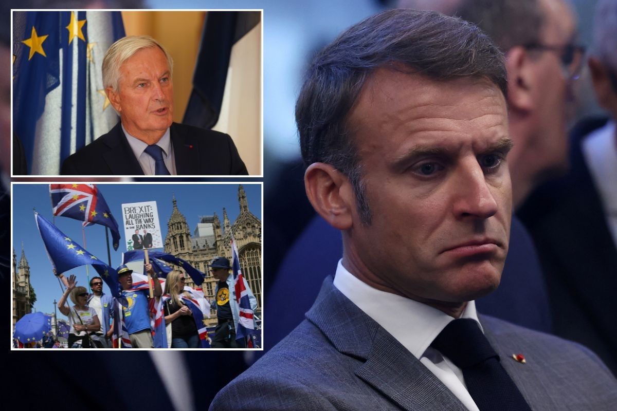 Emmanuel Macron with an inset of Michel Barnier and pro-EU campaigners