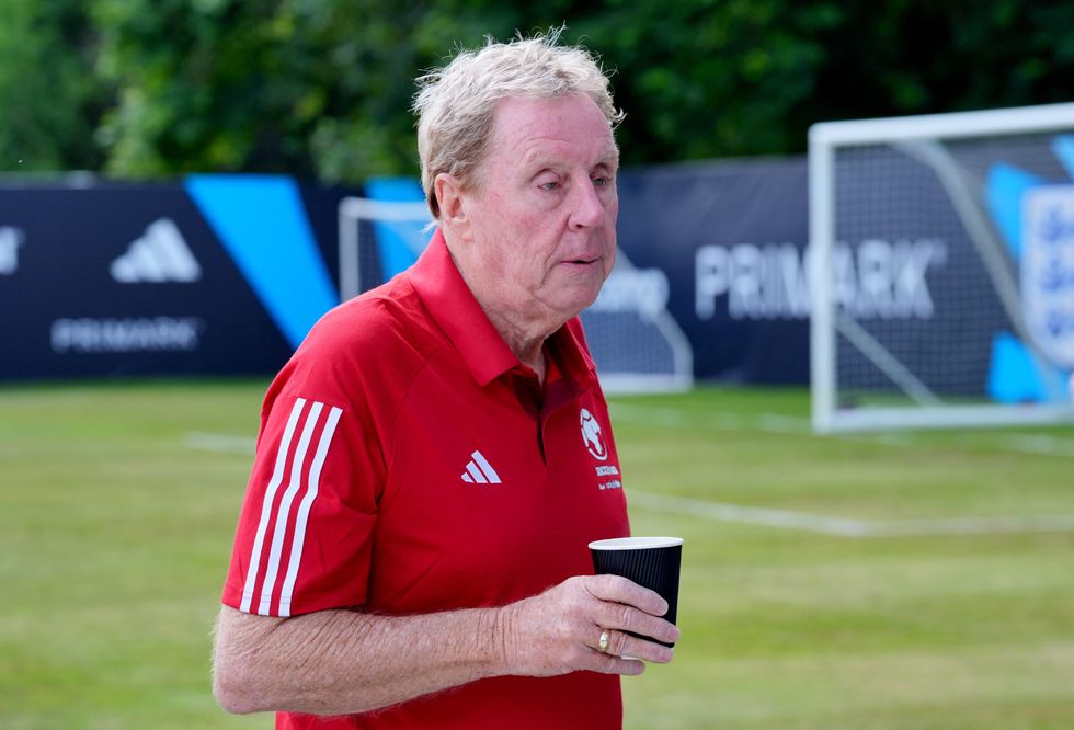 England next manager Harry Redknapp