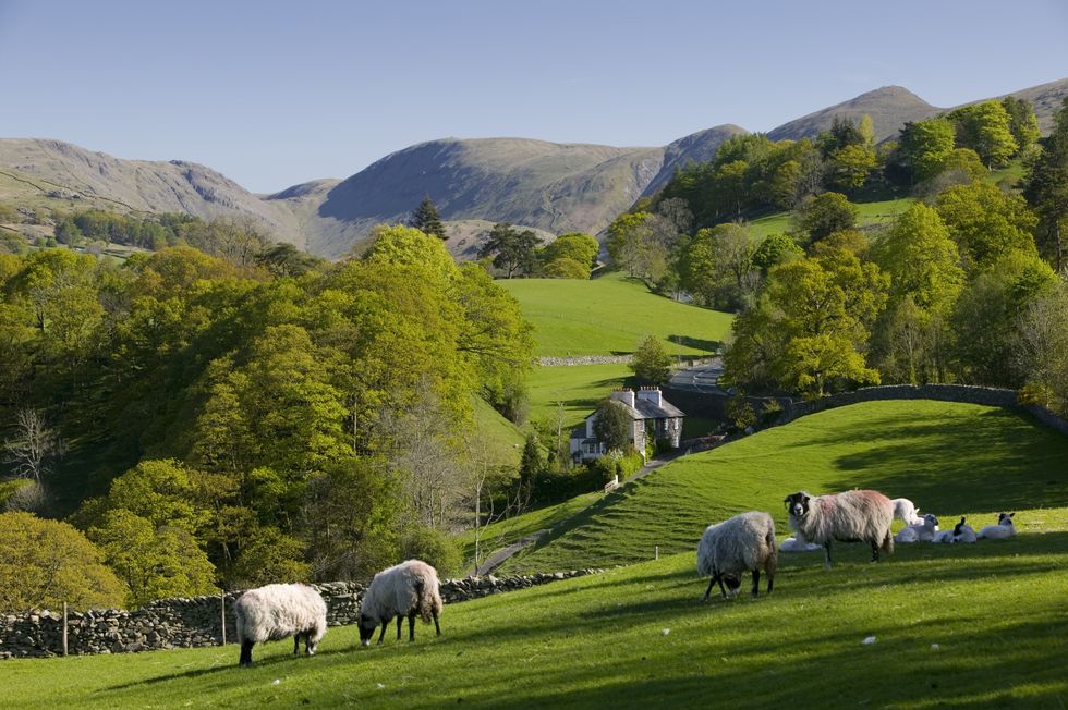 English countryside