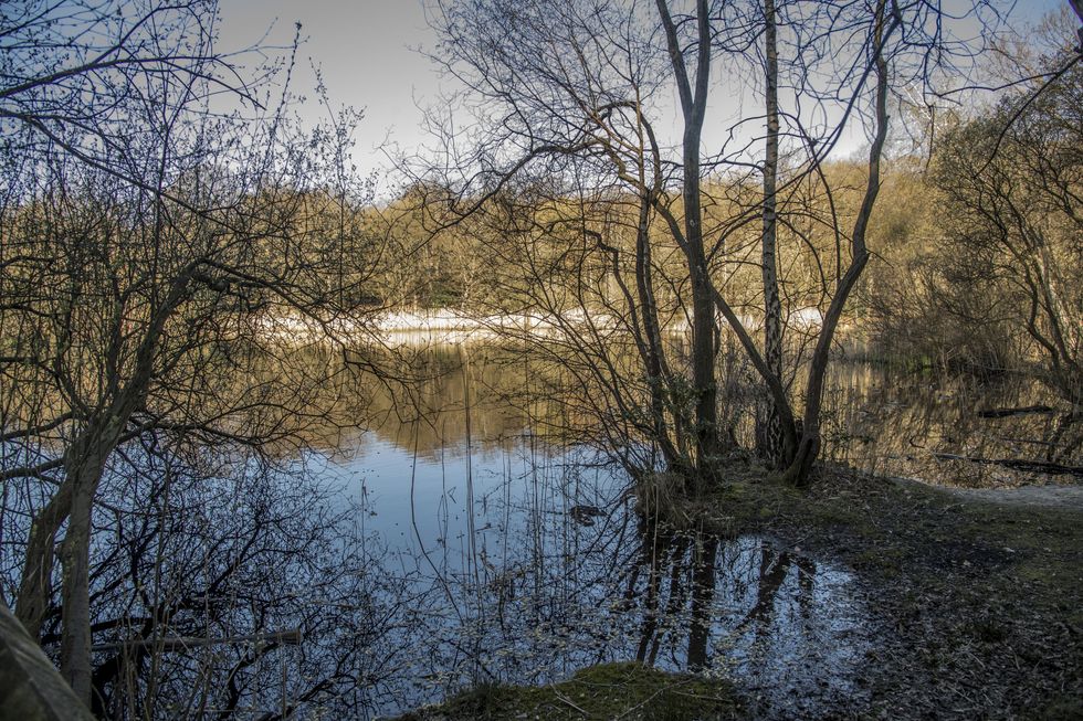 Rod Stewart home: Singer lives in Epping Forest, Essex