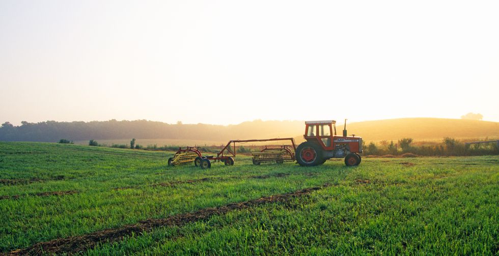 Farmer