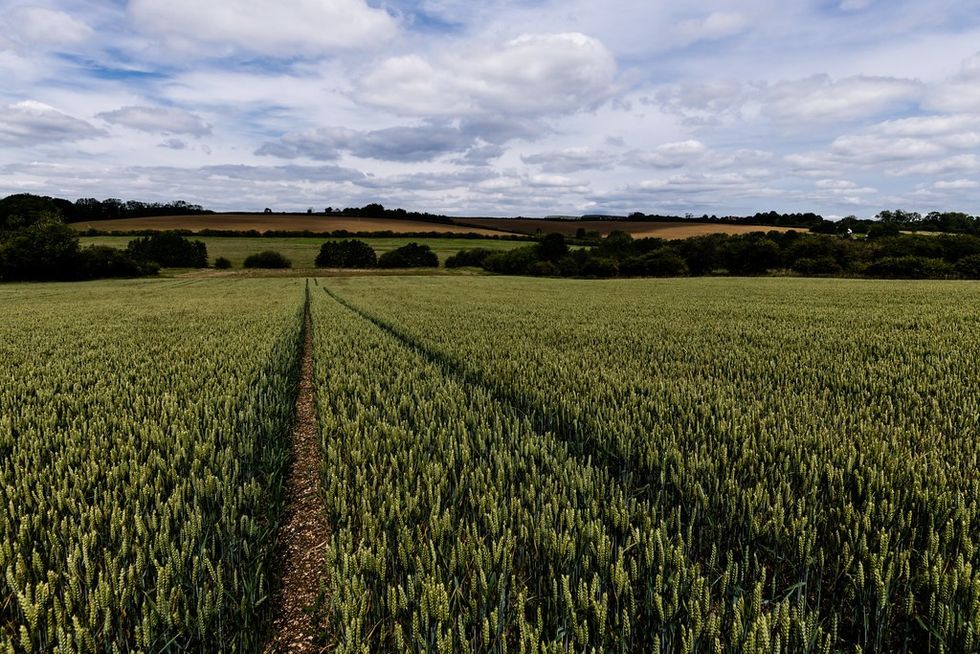 Field Lincolnshire