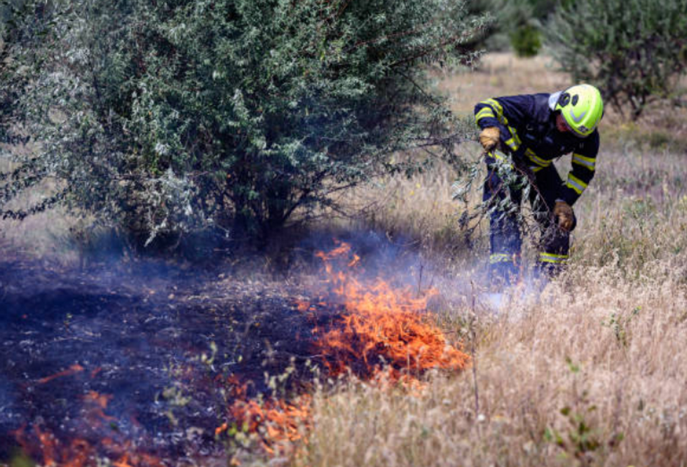 Fireman attempting to put out a forest fire