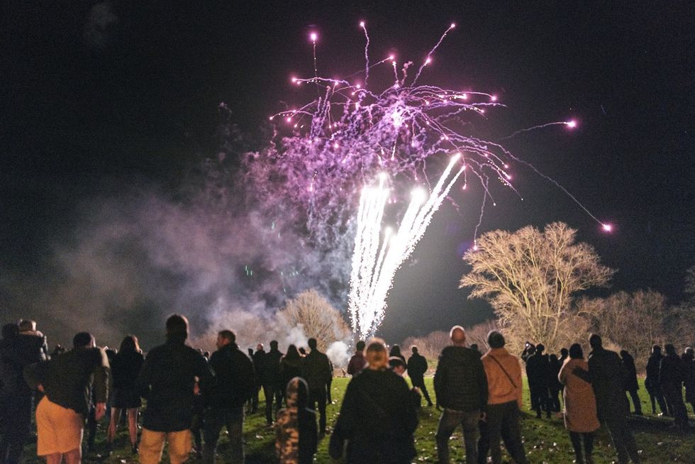 Fireworks show in a public park with crowd watching at night